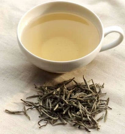 Il Tè Bianco: tipologie e proprietà – Viaggio intorno al tè