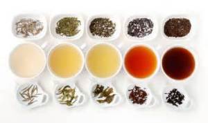 Differenti tipi di tè