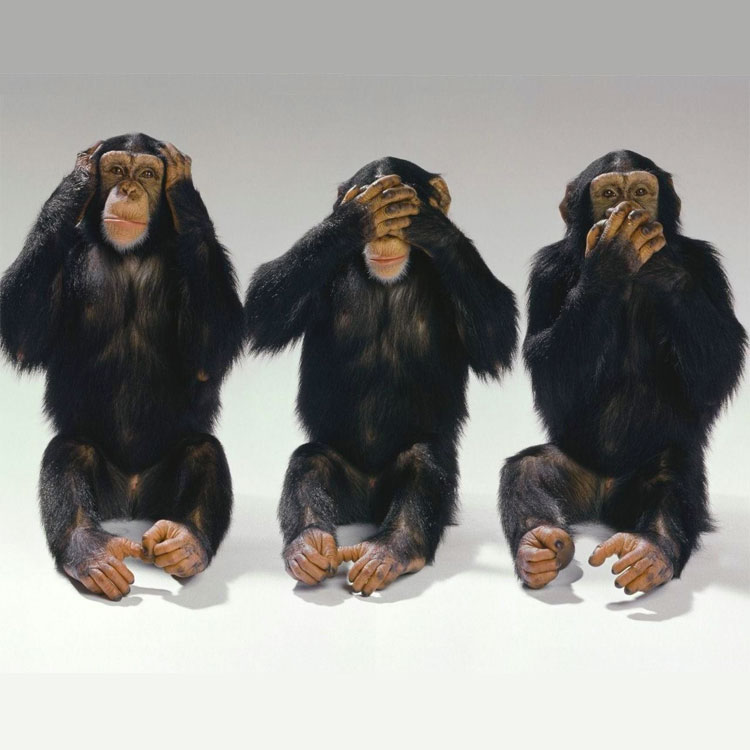 Покажи никто не видел. Три Мудрые обезьяны. Ничего не вижу ничего не слышу. Не вижу не слышу не скажу. Никого не слышу никого не вижу.
